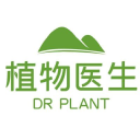 DR PLANT本町店 Logo