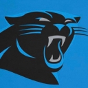 Carolina Panthers | IT and Software Solutions Logo